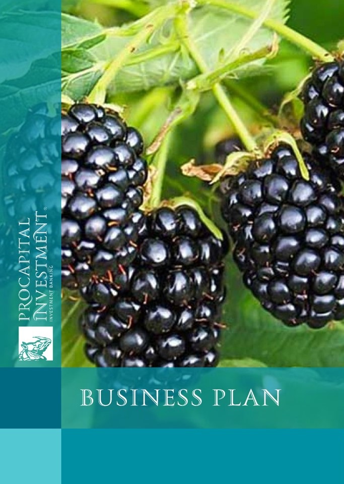 Business plan for the blackberry growing project